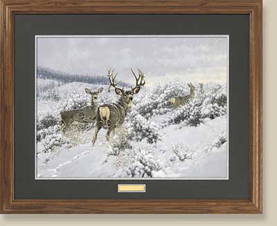 Winter Range-Mule Deer by Michael Sieve